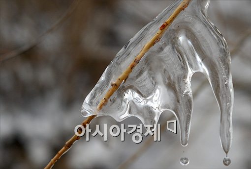 [포토]'고드름의 눈물'