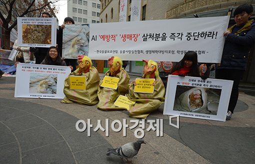 [포토]비둘기도 참가한 살처분 반대 캠페인