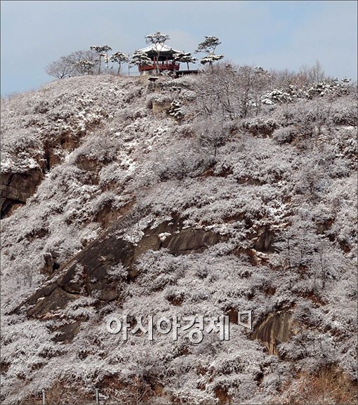 [포토]응봉산의 매력