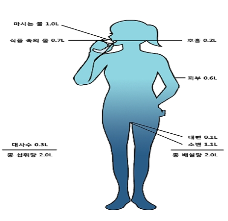 [전형주의 행복한 다이어트]사우나의 땀빼기로 살이 빠진다? 