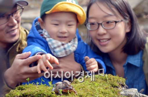 [포토]봄을 앞둔 개구리들