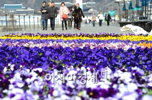 [포토]광화문 꽃대궐 