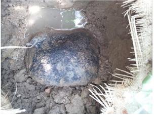 운석으로 추정되는 물체가 진주에서 추가로 발견. (출처: 온라인커뮤니티)