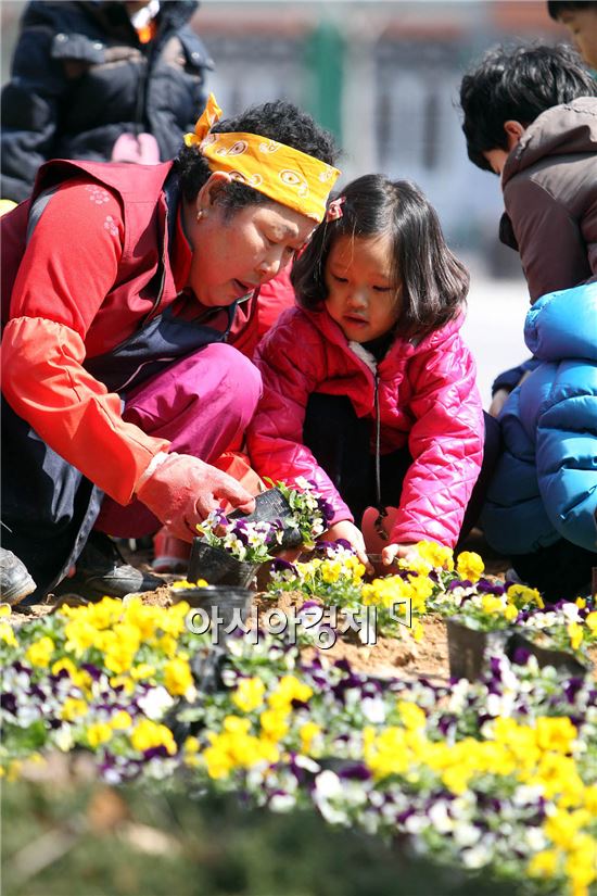 [포토]광주북구, 새봄맞이 가로변 봄꽃 식재 