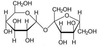 ▲설탕의 분자구조. 설탕은 포도당과 과당이 결합한 구조를 갖고 있다. 