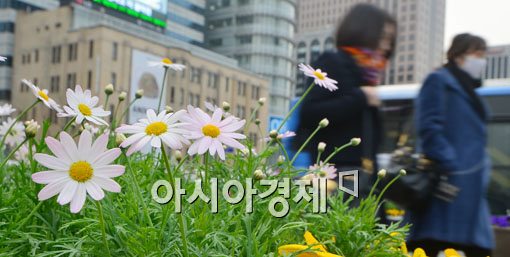 [포토]봄꽃도 놀란 차가운 봄바람 