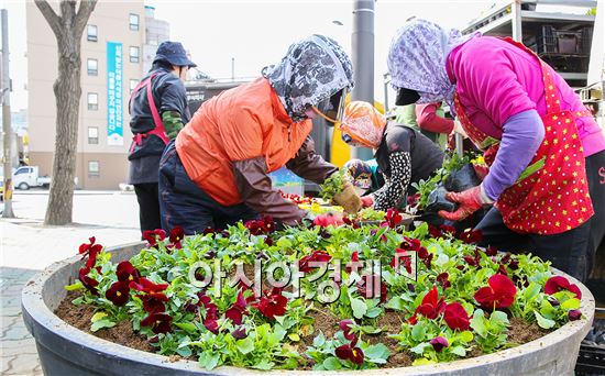 [포토]광주 동구, 도심 가로화단 봄꽃 식재