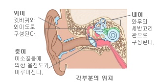 ▲메니에르병 증상.(출처: 서울대학교 병원 홈페이지)
