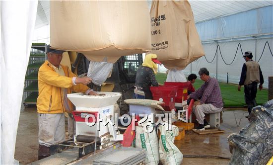 고창군, 고품질 쌀 생산을 위한 경량상토 공급