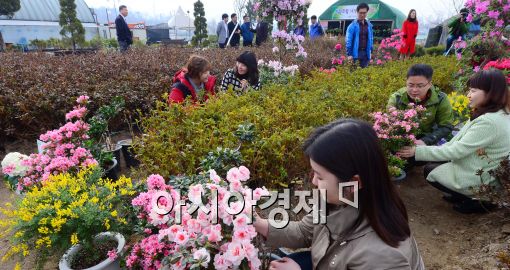 [포토]'산림조합중앙회 나무전시판매장' 개장