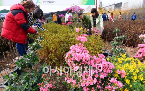 [포토]꽃과 나무 보는 시민들