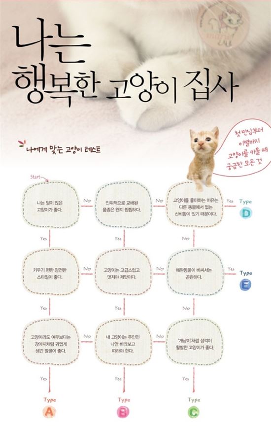 나에게 맞는 고양이 테스트 "성격따라 나이따라"