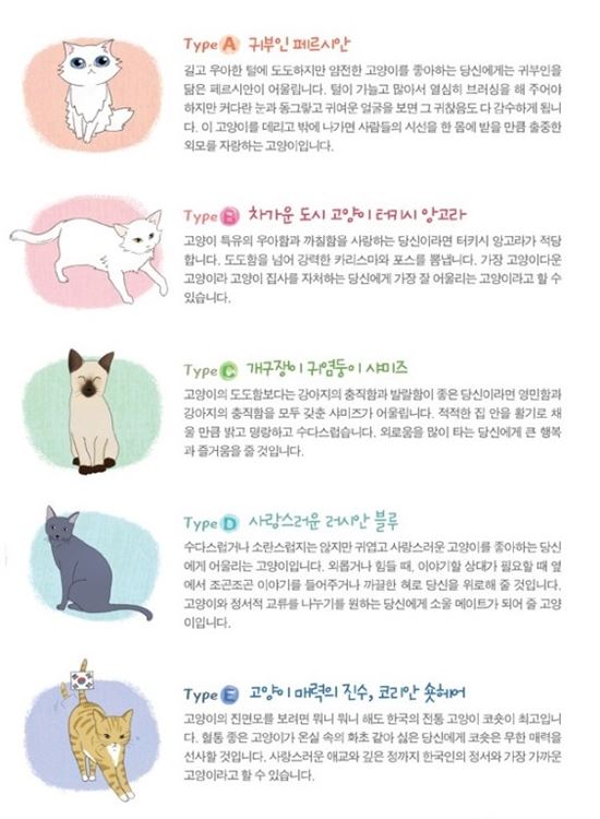 ▲나에게 맞는 고양이 테스트 (출처: 노진희 저 '나는 행복한 고양이 집사' 책 소개 이미지)