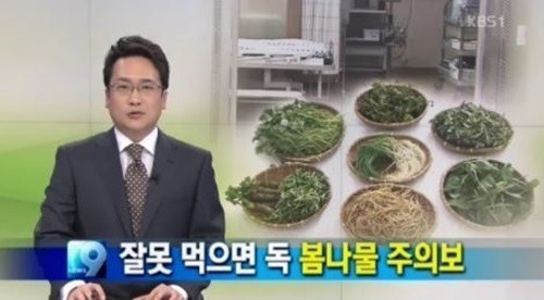 ▲식약청은 봄나물을 주의해서 먹어야 한다고 말했다.(출처:KBS1 방송캡처)