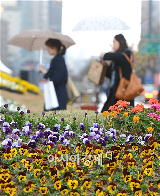 [오늘날씨]남부지방 봄비…서울 낮 20도 고온현상 '더 다가온 봄'