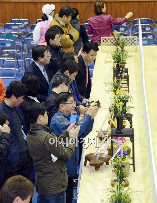 전국 최고 난 축제인 ‘2014 대한민국 난 명품 대제전’이 22일 함평군 농어민문화체육센터에서 안병호 함평군수, 임영주 전남도 농정국장, 양년일 함평난연합회장,이석형 전남도지사 예비후보, 정수길 함평군의회 부의장 등 수천여명의 애란인들이 참석한 가운데 열렸다.
‘난향 그윽한 함평으로’라는 주제로 23일 까지 열리게 되는 이번 난 대제전은 한국 춘란 500여 점이 전시돼 애란인들의 발길이 이어졌다.
이 행사는 함평군이 주최하고 함평난연합회(회장 양년일)이 주관하는 이 행사는 한국 춘란의 우수성을 홍보하고 난 문화의 대중화를 위해 마련됐다.