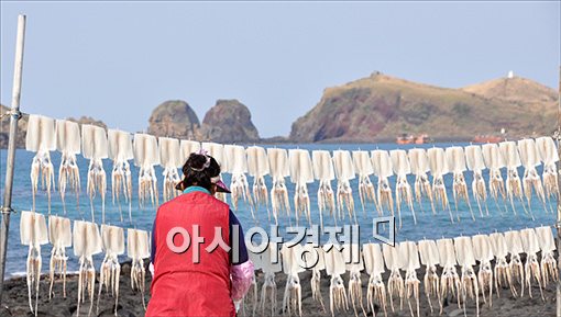 [포토]봄 햇살, 오징어 말리기