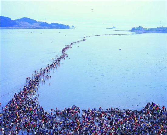 <진도군 신비의 바닷길 축제가 오는 29일 밤 전야제인 '글로벌 투게더'를 시작으로 개막된다.>