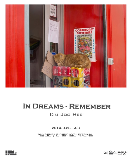 SBS 김주희 아나운서, 예술의 전당서 사진전 연다