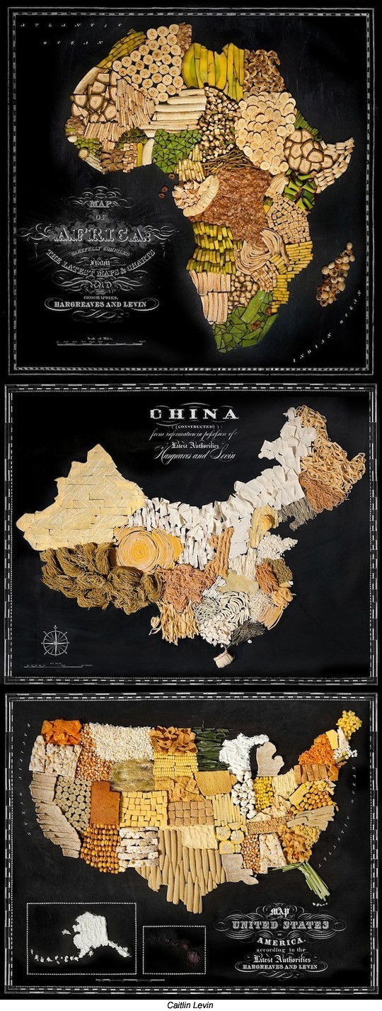 음식으로 만든 세계 지도, 바나나·국수… 라면도?