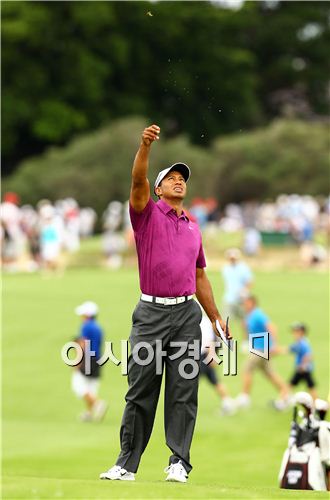 타이거 우즈가 잔디를 뜯어 허공에 날리며 바람의 방향과 세기를 판단하고 있다. 사진=Getty images/멀티비츠  