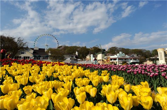 花사한 테마파크…봄 축제로 몸도 마음도 화사