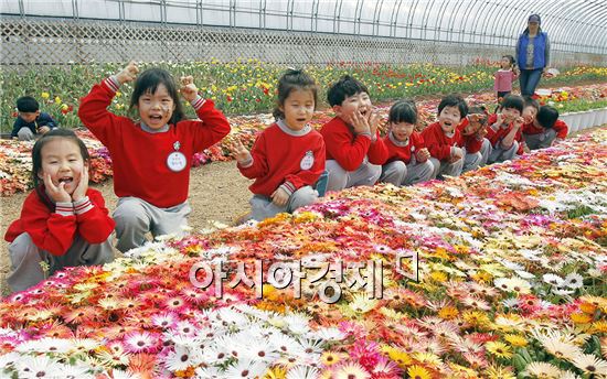 제8회 광양 꽃축제 행사장을 찾은 유치원생들이 꽃을 보며 해맑게 웃고 있다. 이번 광양 꽃 축제는 봉강면에 위치한 농업기술센터 시험포장 내에서 오는 30일까지 열린다.