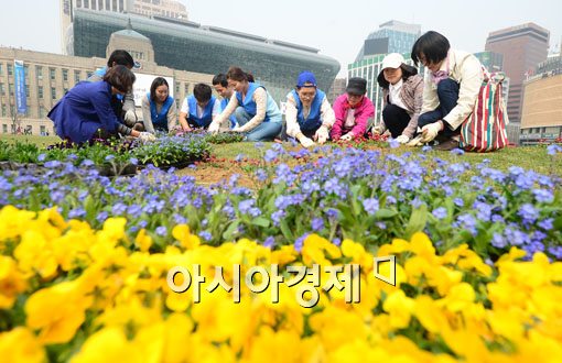 [포토]서울, 꽃으로 피다 