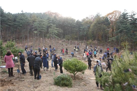 2013년 강동 아름숲 가꾸기 행사 