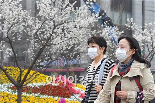 알레르기 결막염 예방법, 꽃가루·먼지 봄의 불청객 피하라