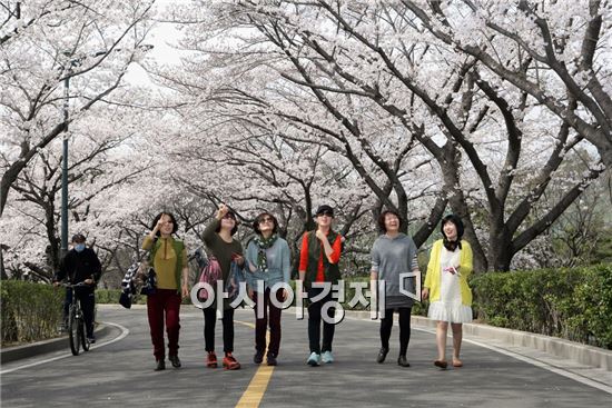 [포토]광양제철소로 벚꽃 구경 오세요