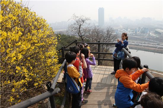 응봉산 개나리 축제