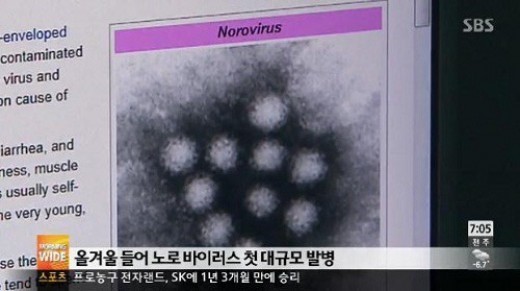 ▲바이러스의 기원, 현존하는 질병의 정체(출처:SBS방송캡처)