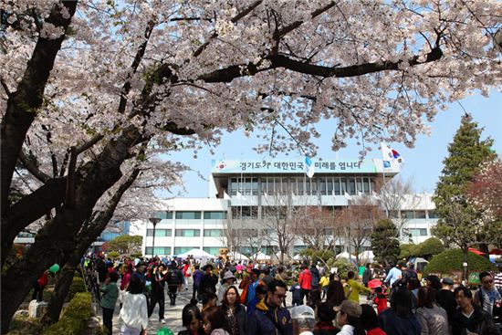 경기도 '벚꽃축제' 보름 앞당긴 사연?