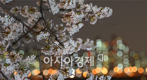 [포토]서울야경과 벚꽃