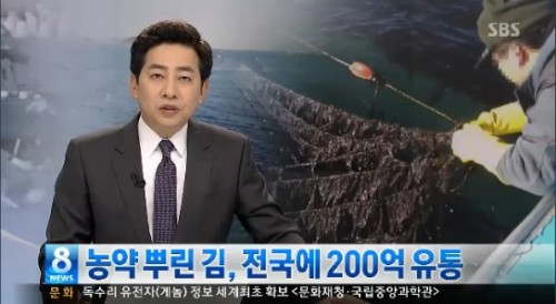 ▲농약 뿌린 김이 전국에 유통됐다.(출처: SBS방송캡처)