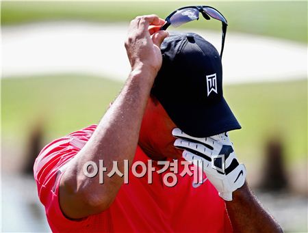 타이거 우즈의 부상이 심각해지면서 세계랭킹 1위 자리마저 위협받고 있다. 사진=Getty images/멀티비츠 