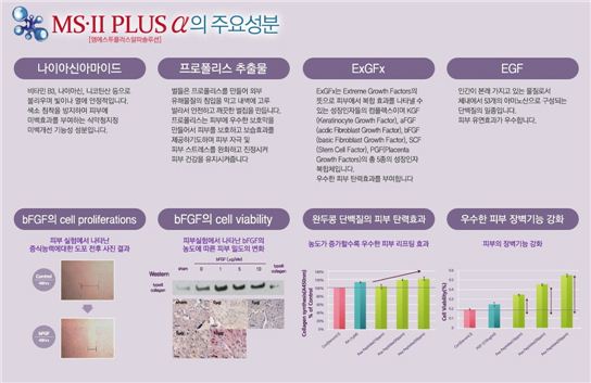 주름,기미,잡티,미백,모공 여성의 5대 피부고민 2주~6주 후엔 탄력 있고 깨끗하게