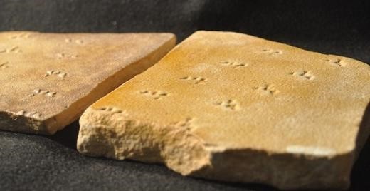 희귀 맹독거미 발자국, 화석이 보존될 수 있었던 까닭은?
