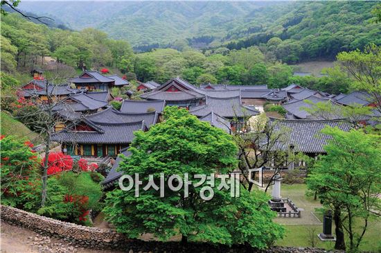한국관광공사 봄 특집, 가볼만한 곳에 ‘천년 고찰 송광사’ 선정