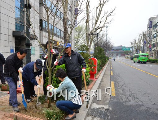 [포토]플라타너스의 시대는 갔다! 유실수의 시대가 온다!