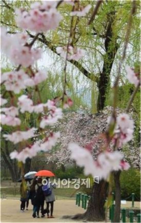[오늘날씨] '곡우' 맞이하는 '봄비' 소식…낮부터 흐려져 서울·경기 비
