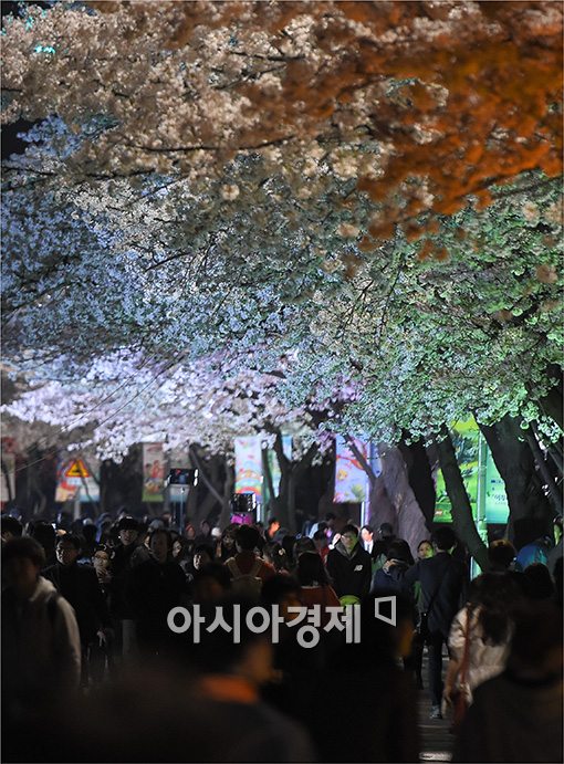[포토]벚꽃축제 즐기는 시민들