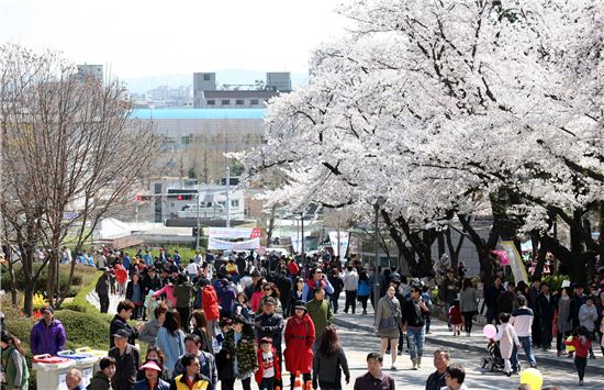 6일 경기도청 벚꽃축제 행사장을 찾은 도민들이 화려한 자태를 뽐내는 벚꽃 길을 걸으며 즐거운 한때를 보내고 있다. 