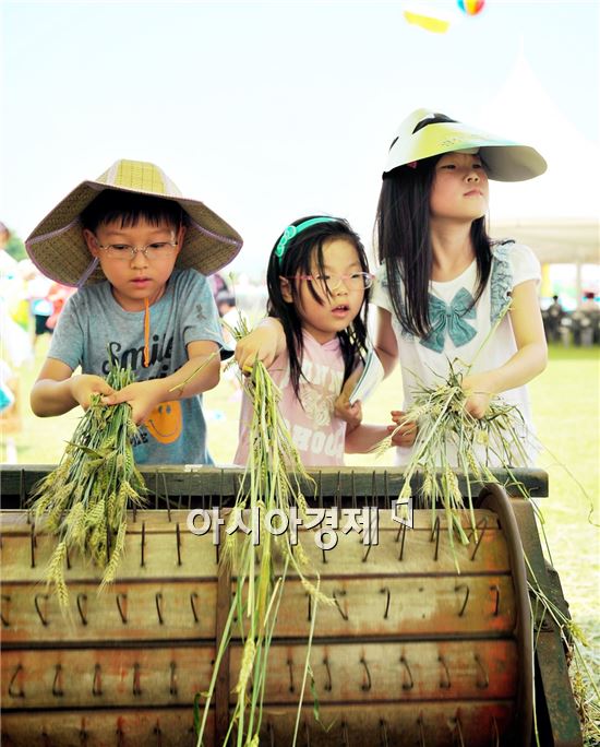 광산우리밀축제에서 어린이들이 탈곡체험을 하고있다. 