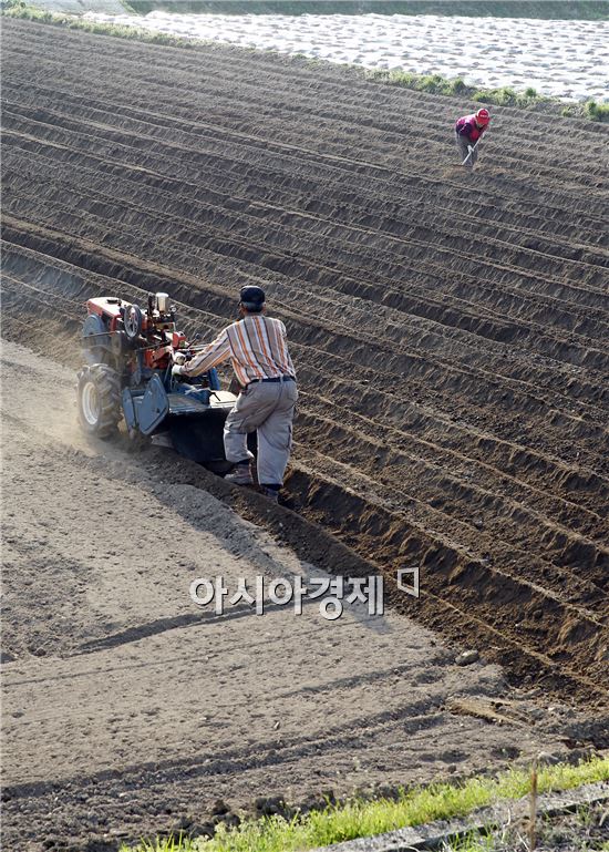 [포토]봄맞이 하는 농촌들녘