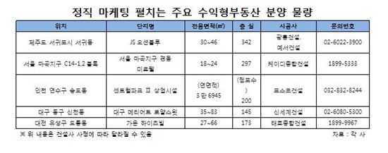 수익형부동산 고수익률 미끼… ‘옥석’을 찾아라