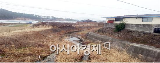 고흥 대강천