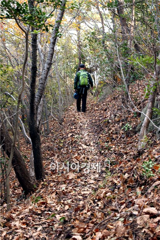 여수갯가길 숲