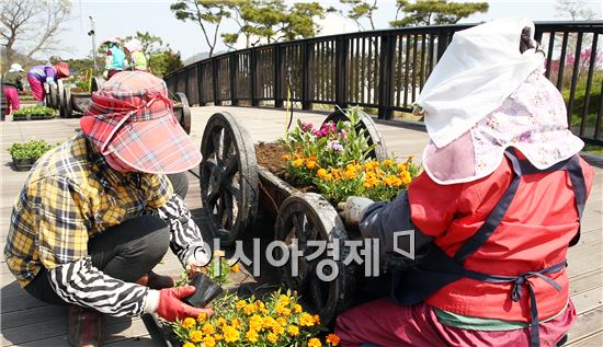 [포토]나비축제 준비 꽃단장하는 함평엑스포공원